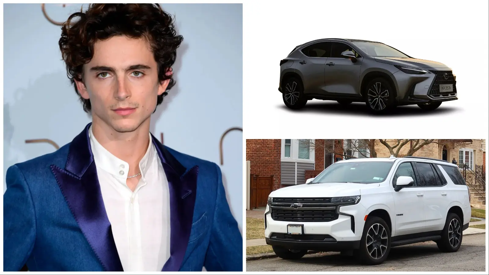 Timothee Chalamet Car Collection 2024 and Net Worth